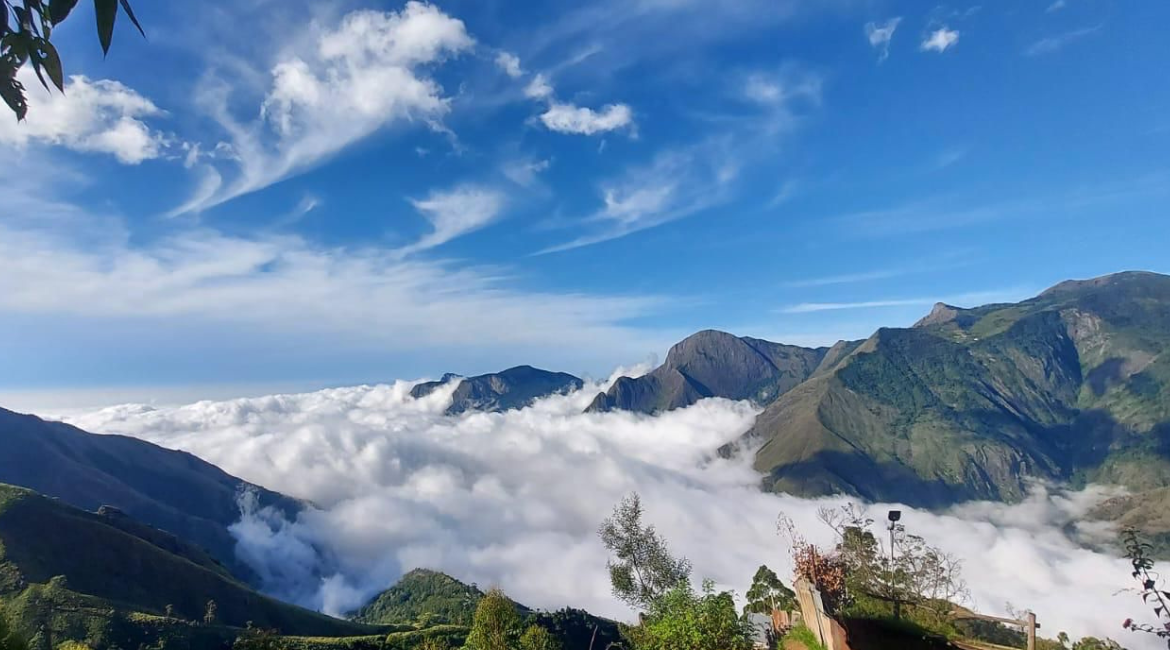 Live your myth in Munnar
