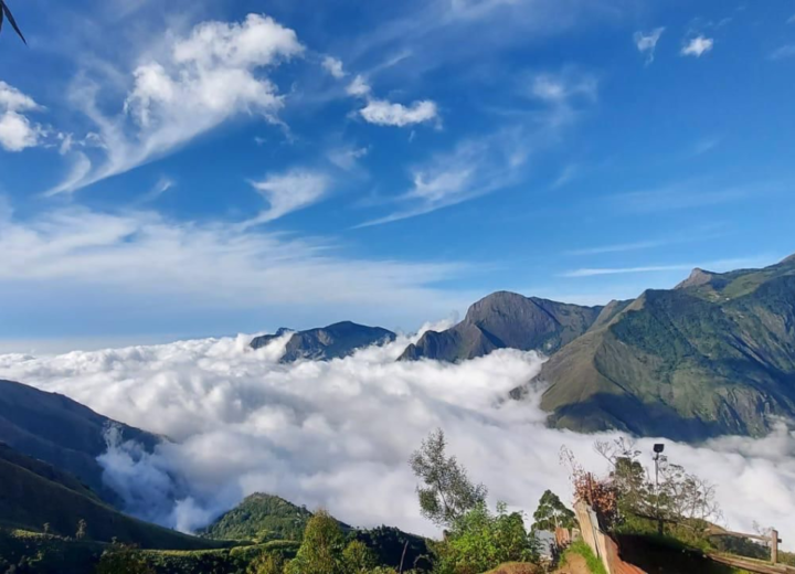 Live your myth in Munnar