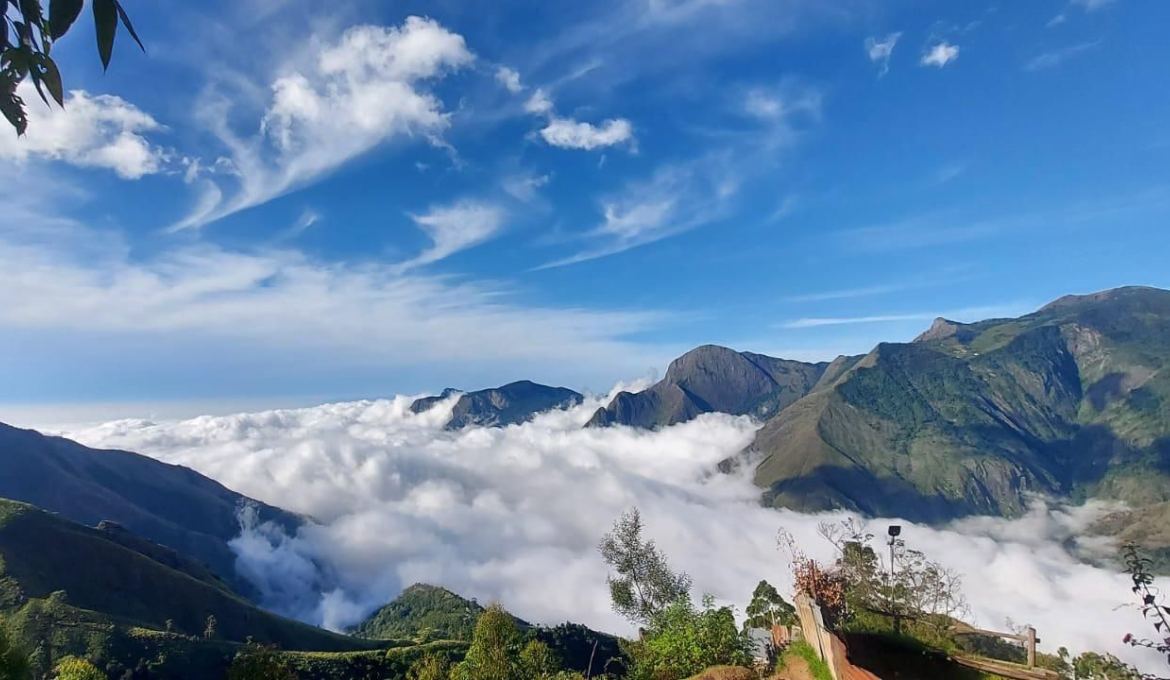 Book Wildzone Mountain Stay